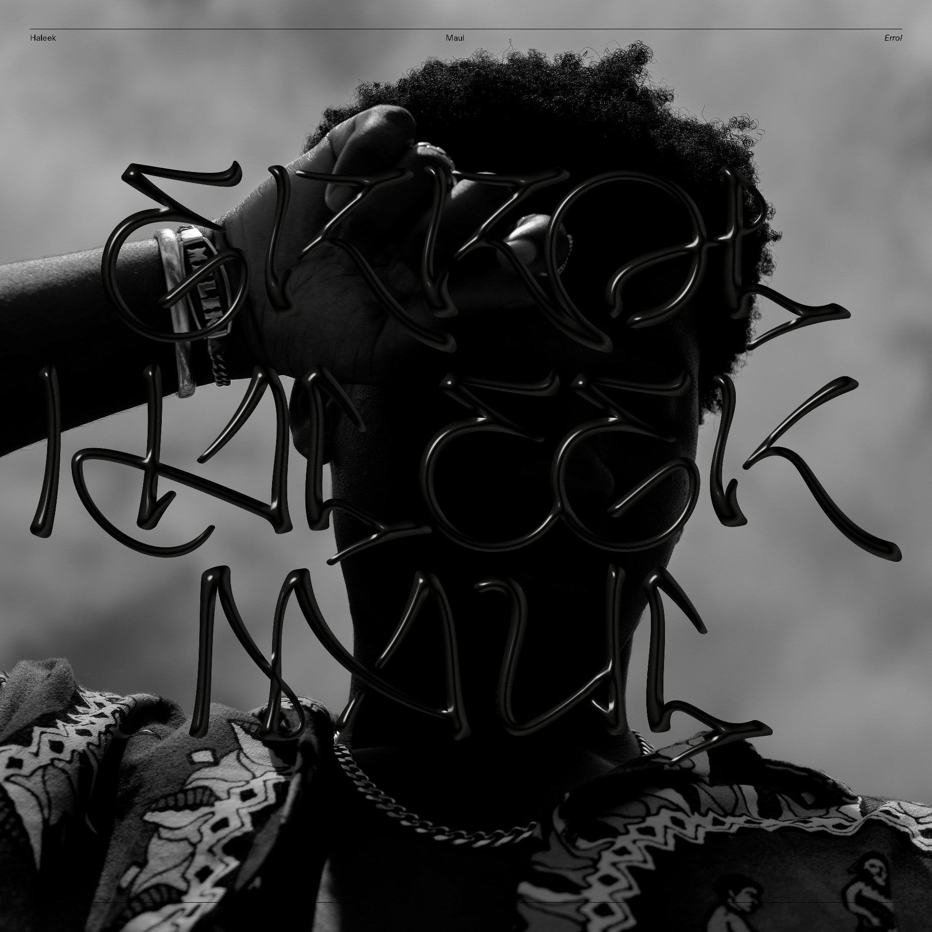 Haleek Maul: Errol Vinyl LP