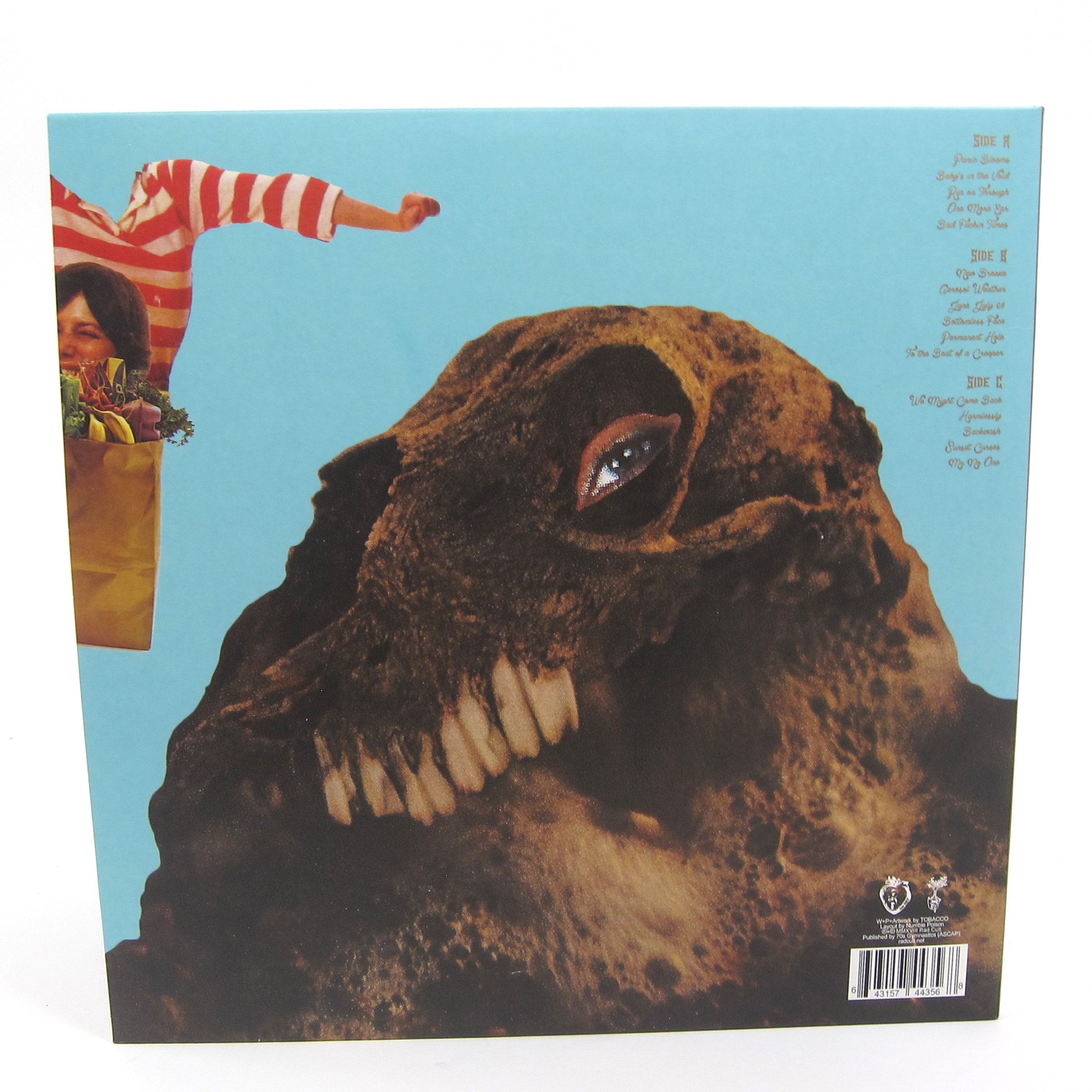 Black Moth Super Rainbow: Panic Blooms (Colored Vinyl) Vinyl 2LP