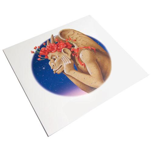 The Grateful Dead: Dark Star: Europe '72 Olympia, France (180g, Record Store Day) LP