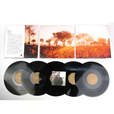 Kruder & Dorfmeister: The K&D Sessions (180g) Vinyl 5LP detail