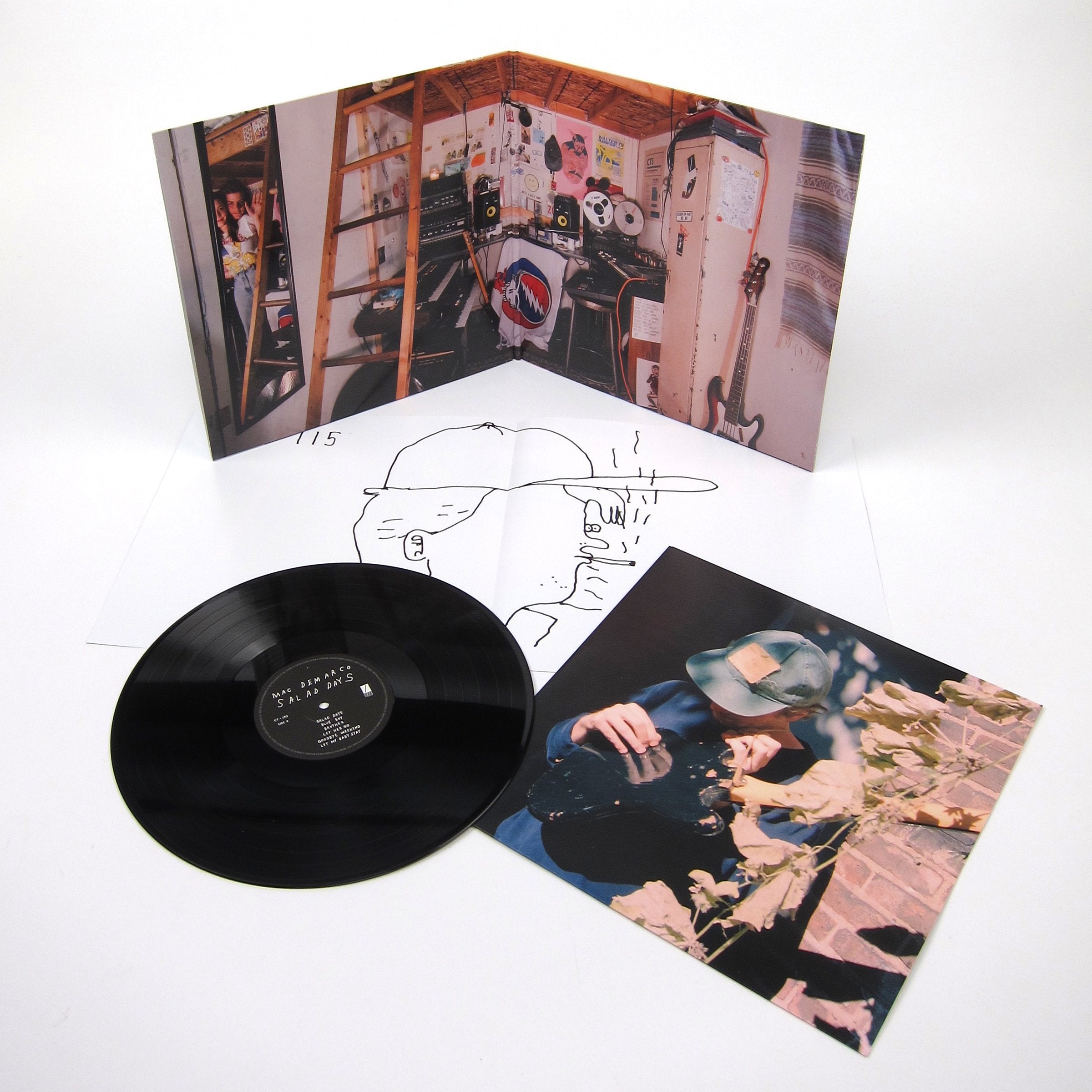 Mac Demarco: Vinyl LP Album Pack (2, Salad Days)