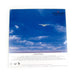 Momoko Kikuchi: Adventure (Colored Vinyl) Vinyl LP
