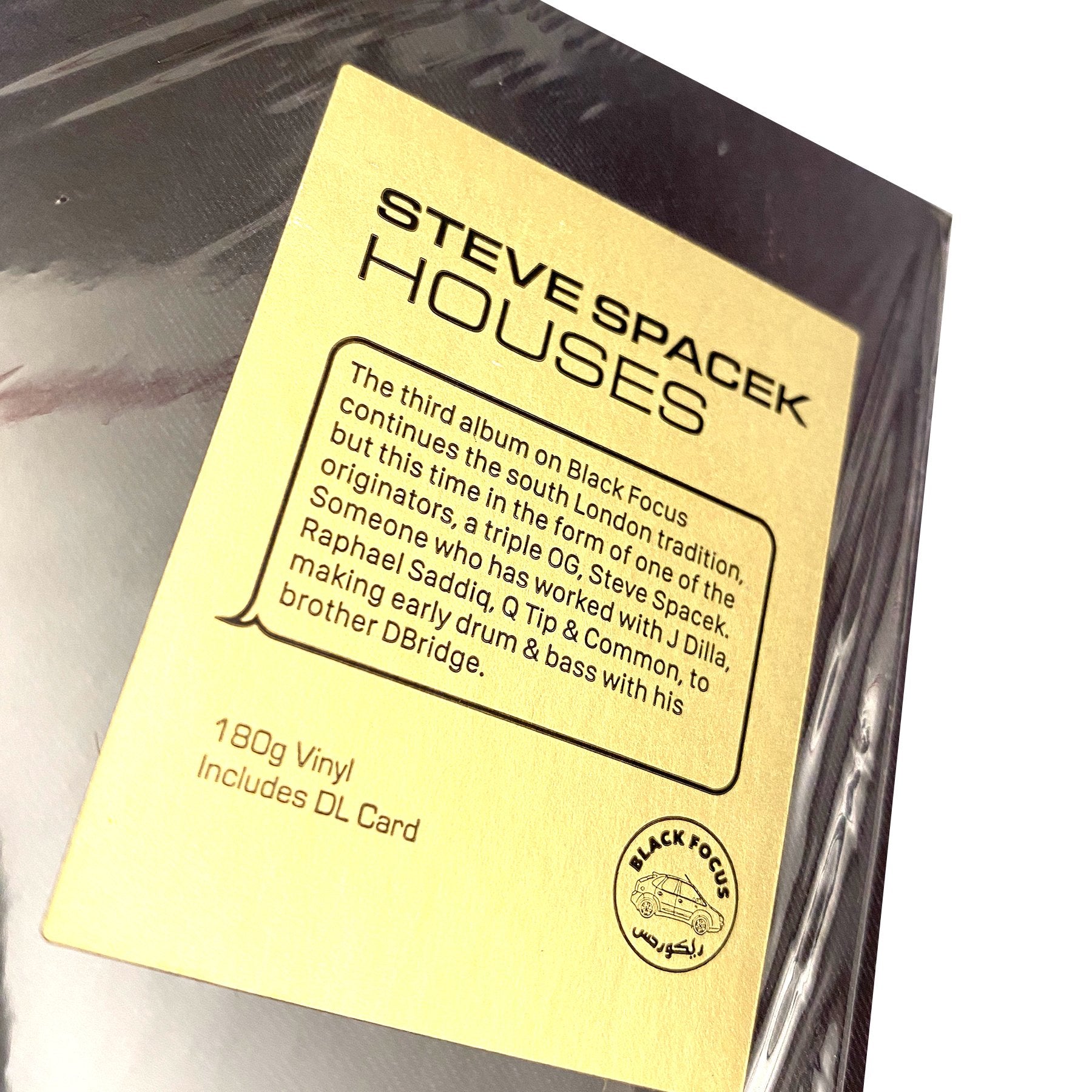 Steve Spacek: Houses (180g) Vinyl LP